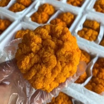 新鲜黄金耳金耳菌金耳