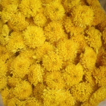 菊花茶