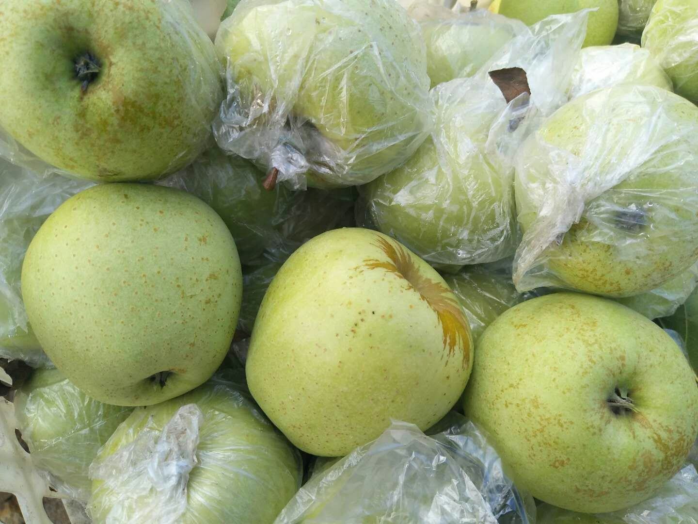 紫晶红星苹果深加工产品展示