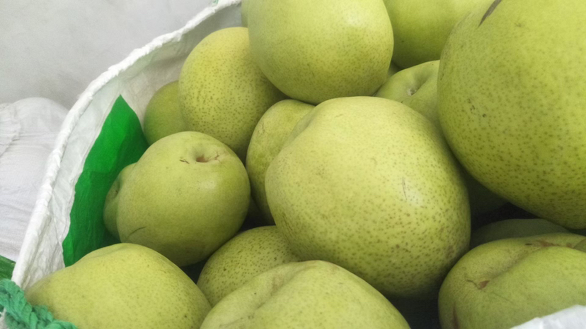 一颗刚切开的新鲜金花梨,果肉洁白如玉,晶莹剔透,汁水丰富,切口处可见细密均匀的组织结构,无明显颗粒感,旁边摆放一把不锈钢水果刀和白色瓷盘,突出其高品质外观 切开的金花梨特写