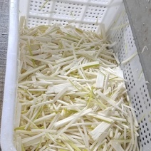 酸笋丝大量库存，源头货大量加工，实力对接公司