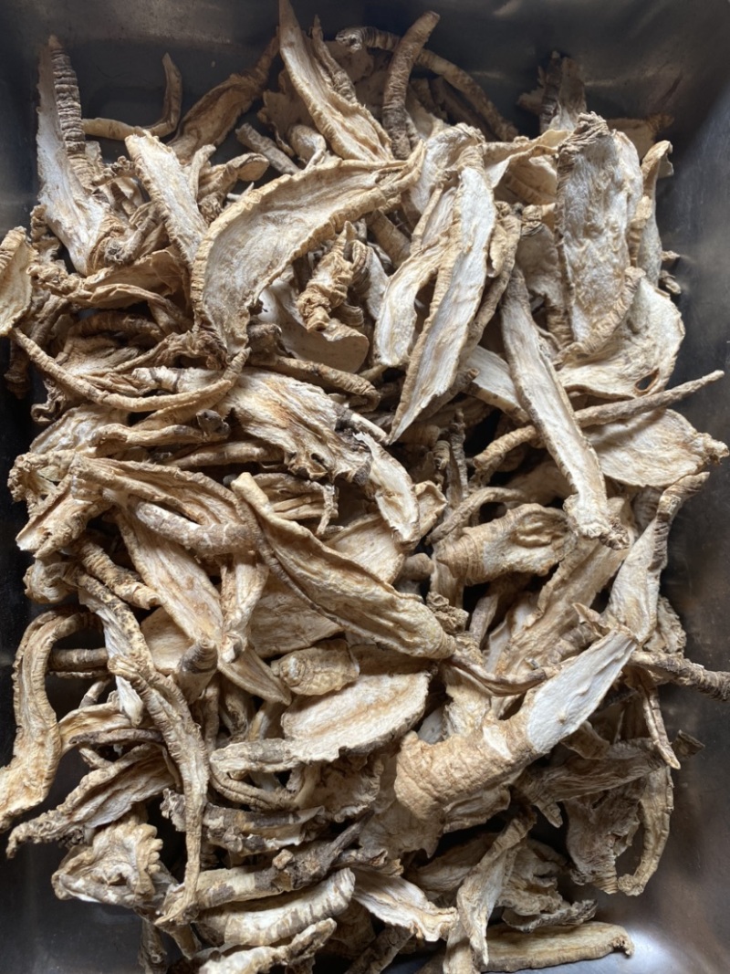 山海螺奶萝卜羊乳参野生的