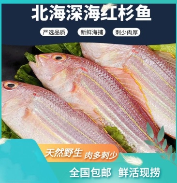 鱼批发]【包邮_5斤红杉鱼】热销北海鲜活冷冻海鲜水产红杉鱼3斤价格