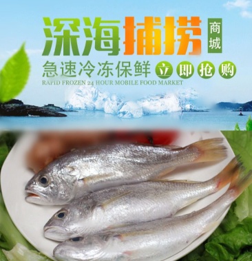 【包邮_4斤白姑鱼】热销海捕鲜活冷冻海鲜白姑鱼2斤4斤