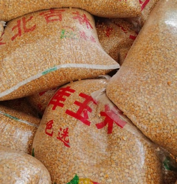 [玉米批发]东北吉林干玉米粒一件代发价格1.30元/斤 - 一亩田