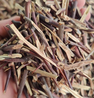 河南正品角刺,所见即所得.