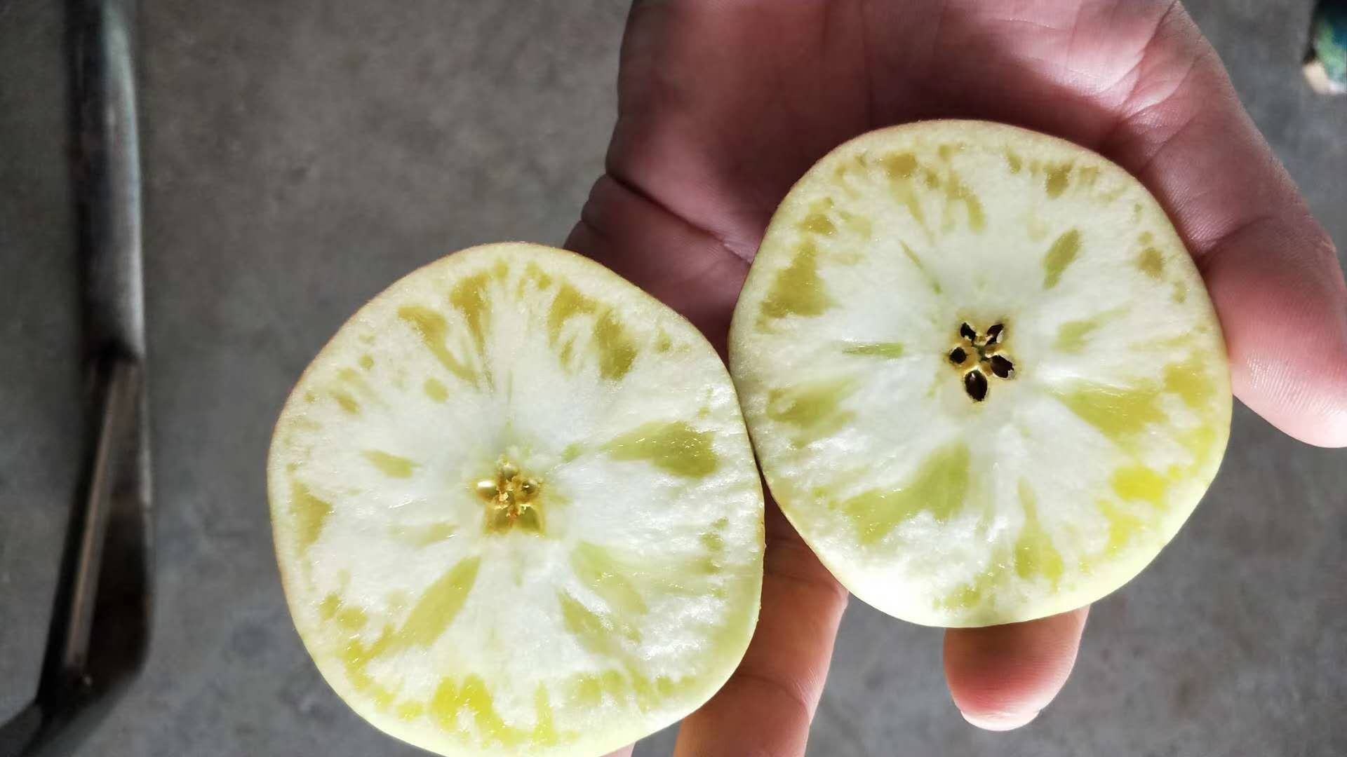 美八苹果切片展示果肉的细腻与多汁