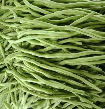 [芸豆批发]代收,白无丝豆角价格2.90元/斤 - 一亩田
