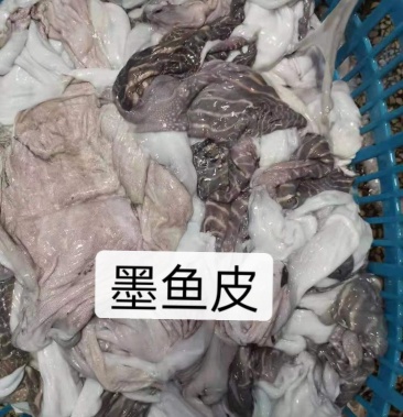 墨鱼系列墨鱼皮墨鱼须用得上老板欢迎了解价格实惠