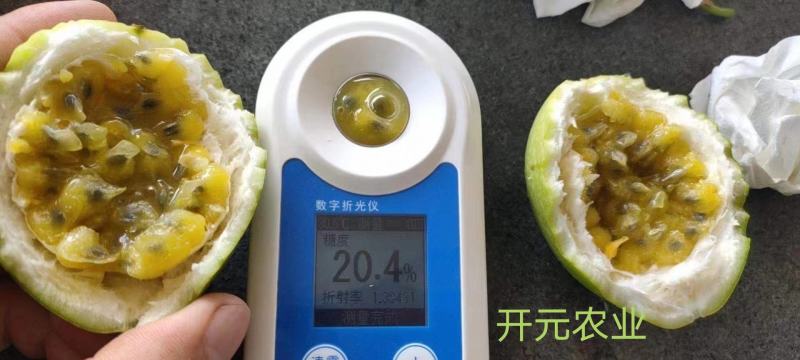 台农百香果什么时候开花结果