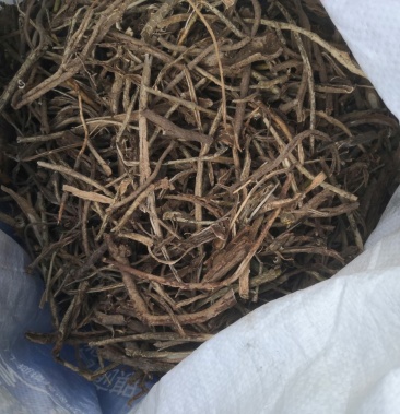 野生三加皮(干货)