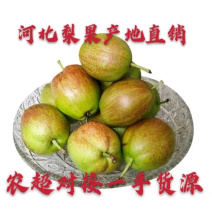 新梨7号