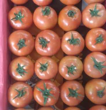 云南红石头果大量上市,欢迎老板咨询