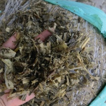 黄储饲料，品质保证，支持视频看货，欢迎各大养殖基地咨询