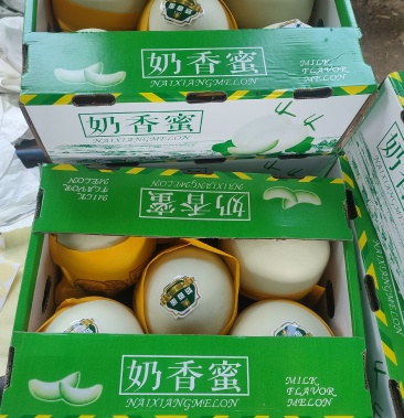 [玉姑甜瓜批发]大棚保护地,精品玉菇,奶香蜜价格1.10元/斤 - 一亩田