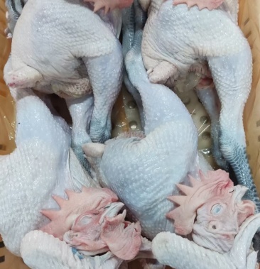 青脚麻公鸡45678只都有,规格全,新货干货,全国发货