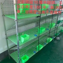 新款免清理粪便兔笼，子母笼养殖笼两用