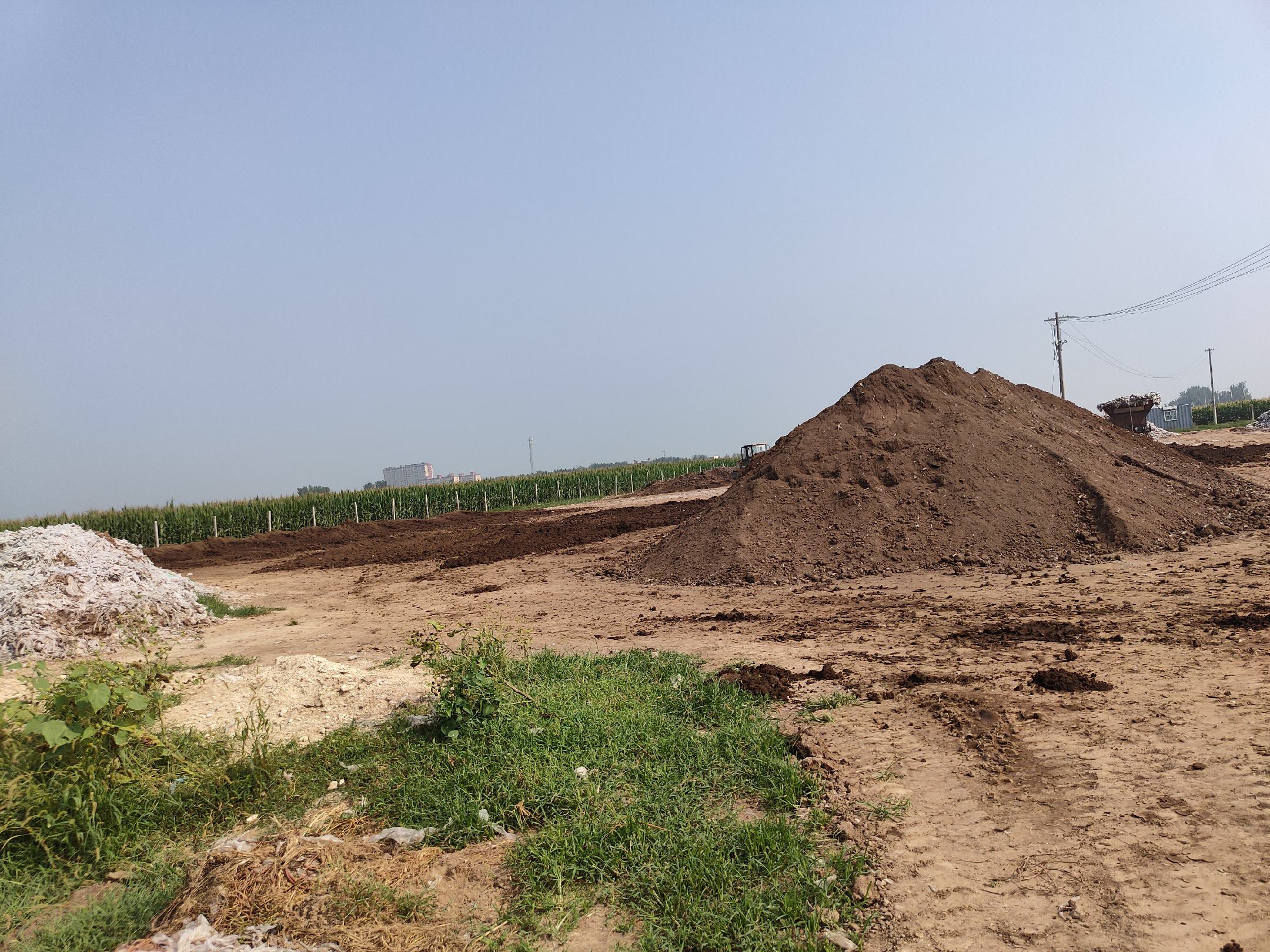 农户正在将平菇菌渣用于农田施肥