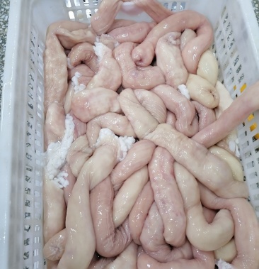 带油牛大肠 圆大肠 适合煎烤涮 厂家长期供应批发零售