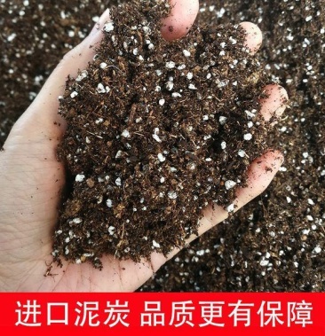 育苗基质营养土育苗蛭石园艺基质园艺蛭石