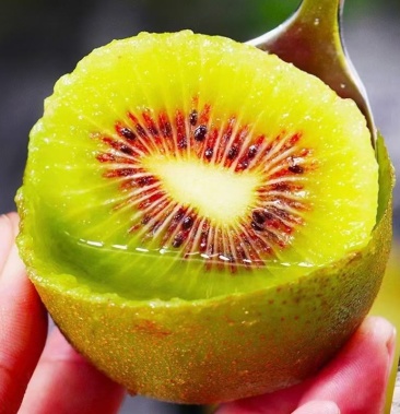 赣南江西寻乌红心猕猴桃新鲜当季孕妇水果奇异果5斤10斤精