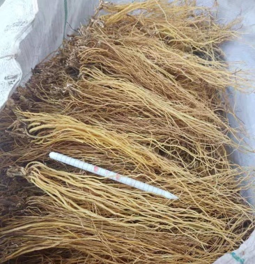 [龙胆批发]滇龙胆草 龙胆 龙胆花 胆草 苦胆草价格75.