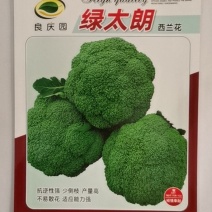 绿太郎西兰花，抗逆性强，少侧枝，产量高，不易散花，适应强