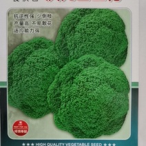 庆元西兰花抗逆性强，少侧枝，产量高，不易散花，适应能力强
