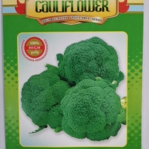 绿满田西兰花，，中晚熟品种，植株少侧枝，花球结实花粒细小
