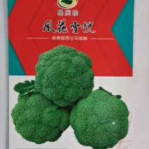 风花雪悦西兰花，不易烂花，不易空心，不易散花，抗性强，