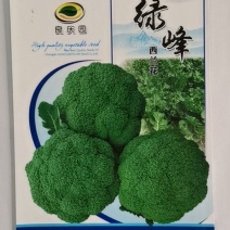 绿峰西兰花，花很细，颜色绿，抗病强，生长强势，耐雨水。