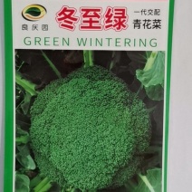 东至绿青花菜为中晚熟品种，高球形，植物强势，花蕾细腻