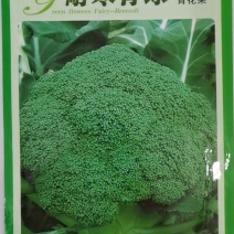 耐寒青绿青花菜，花蕾细小，高原形，不易空心烂花，不变色