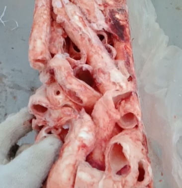 [猪气管批发]猪气管.5吨价格3.90元/斤 - 一亩田