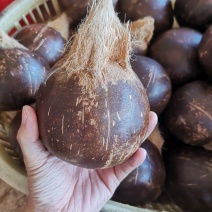 椰子精品现货秒发欢迎联系
