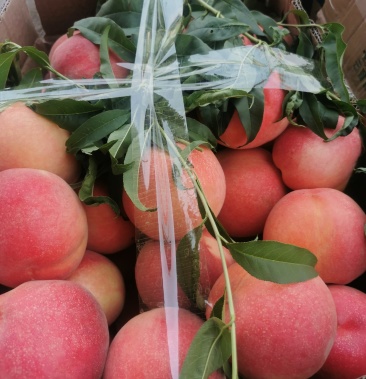 [蜜桃批发]太行山富硒桃价格5.00元/斤 - 一亩田