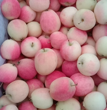 [123苹果批发]123小苹果大量上市价格1.00元/斤 - 一亩田