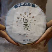 小荒田古树白茶勐库大叶种
