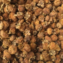 出售贵州山区的刺梨干果，刺梨鲜果！