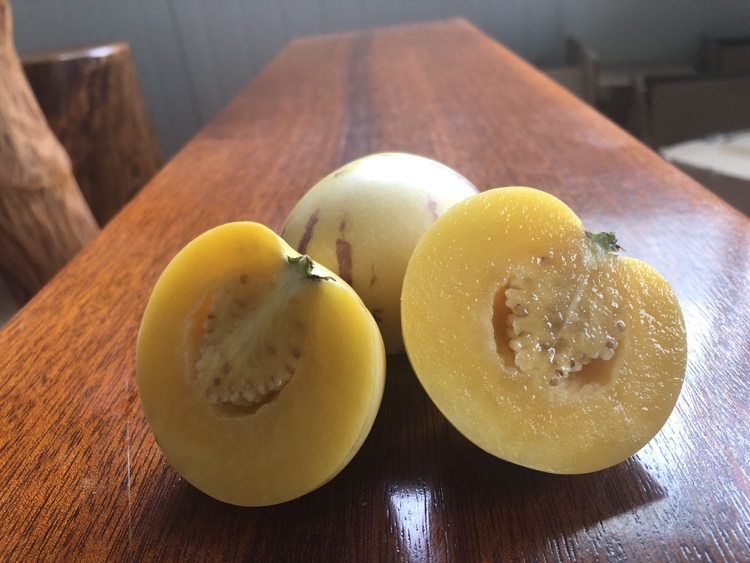 一颗完整的火参果被横向切开,露出内部晶莹剔透的绿色凝胶状果肉,果肉中均匀分布着白色可食用种子,背景为自然木质桌面,光线柔和,突出果实的新鲜质感 火参果剖面图