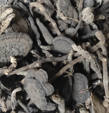 [灵芝批发]野生香血灵芝价格80.00元/斤 - 一亩田