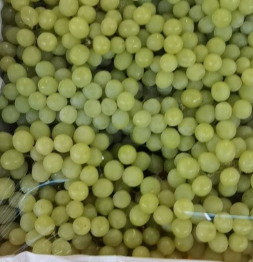 [无籽露批发]葡萄价格5.00元/斤 - 一亩田