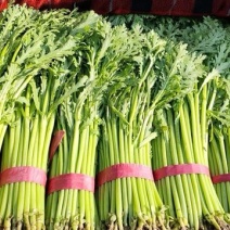 【推荐】河北小叶茼蒿一手货源供应市场商超电商量大价优