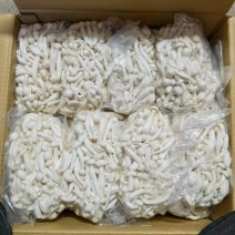 350g白玉菇，无条码，要好货进～