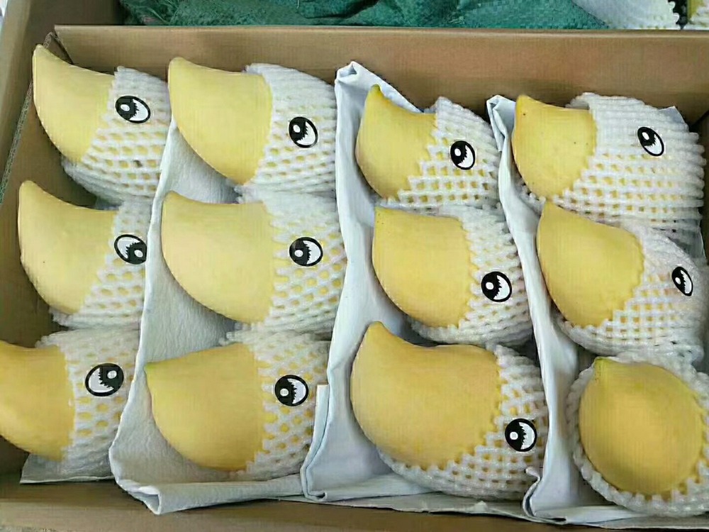 鹰嘴芒果深加工产品陈列图