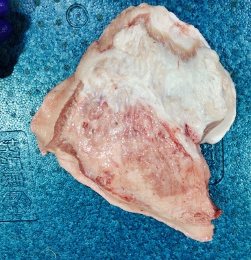 [猪颈肉批发]精修无淋巴糟头价格4.50元/斤 - 一亩田