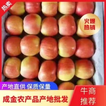 美八，红露苹果保证质量.产地直销全国发货