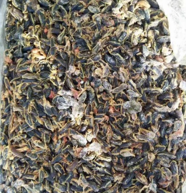 [活鸡批发]鸡苦胆价格2.50元/斤 - 一亩田