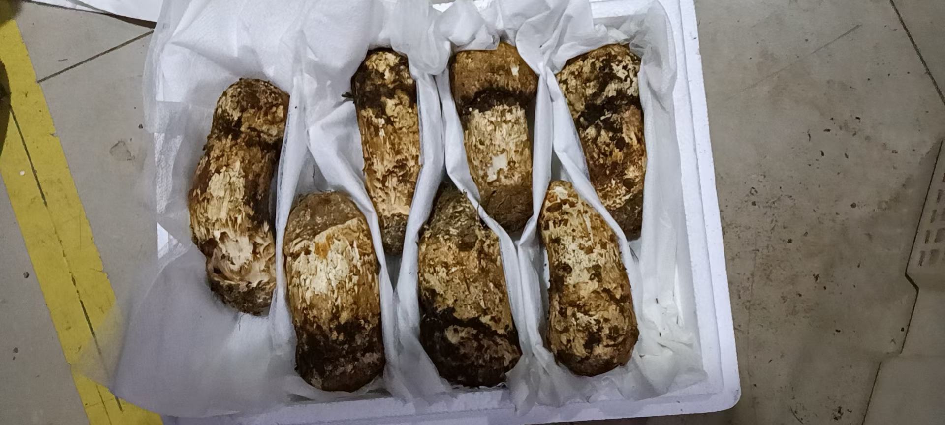 松茸与保鲜材料搭配