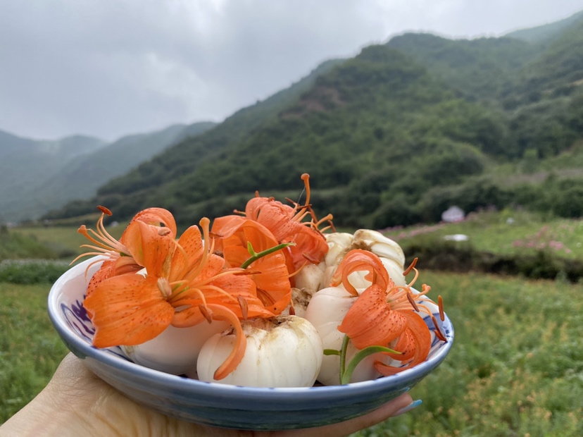 侧柏思茂洗剂使用场景